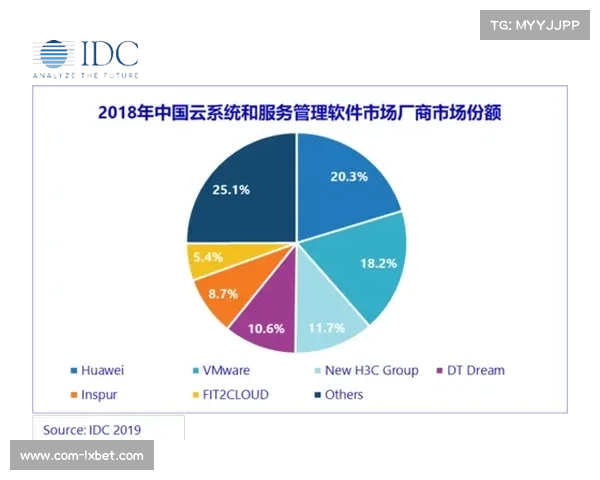多云战略规避单点故障风险,增强业务连续性 多云战略规避单点故障风险,增强业务连续性